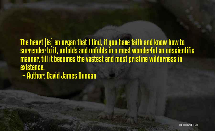 David James Duncan Quotes: The Heart [is] An Organ That I Find, If You Have Faith And Know How To Surrender To It, Unfolds