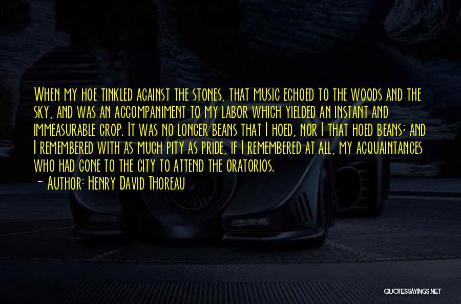 Henry David Thoreau Quotes: When My Hoe Tinkled Against The Stones, That Music Echoed To The Woods And The Sky, And Was An Accompaniment