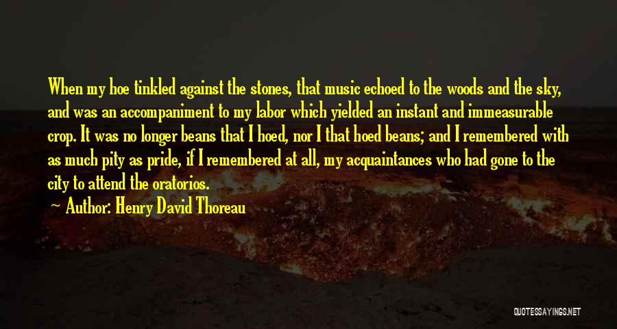 Henry David Thoreau Quotes: When My Hoe Tinkled Against The Stones, That Music Echoed To The Woods And The Sky, And Was An Accompaniment