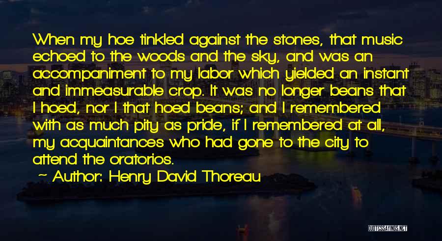 Henry David Thoreau Quotes: When My Hoe Tinkled Against The Stones, That Music Echoed To The Woods And The Sky, And Was An Accompaniment