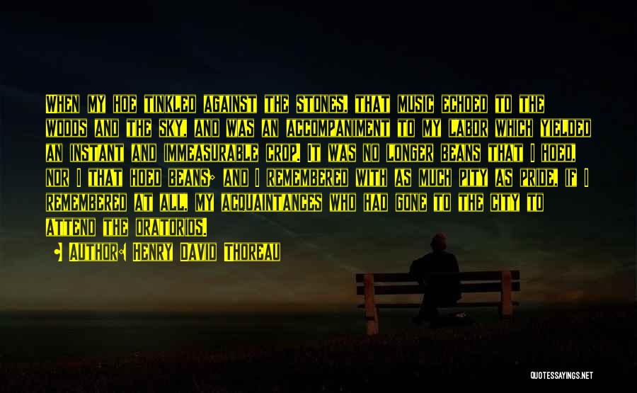 Henry David Thoreau Quotes: When My Hoe Tinkled Against The Stones, That Music Echoed To The Woods And The Sky, And Was An Accompaniment