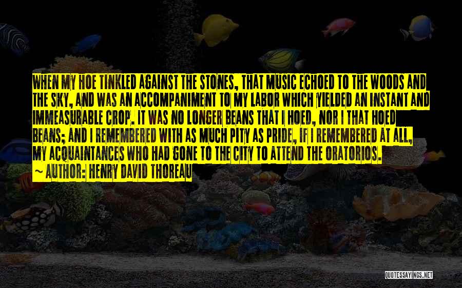 Henry David Thoreau Quotes: When My Hoe Tinkled Against The Stones, That Music Echoed To The Woods And The Sky, And Was An Accompaniment