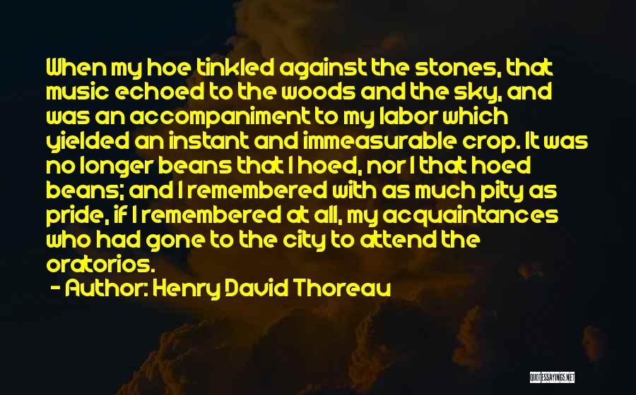 Henry David Thoreau Quotes: When My Hoe Tinkled Against The Stones, That Music Echoed To The Woods And The Sky, And Was An Accompaniment