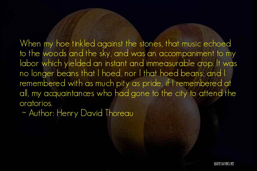 Henry David Thoreau Quotes: When My Hoe Tinkled Against The Stones, That Music Echoed To The Woods And The Sky, And Was An Accompaniment