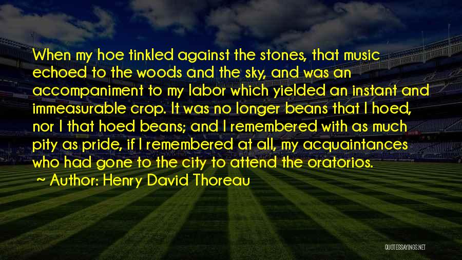 Henry David Thoreau Quotes: When My Hoe Tinkled Against The Stones, That Music Echoed To The Woods And The Sky, And Was An Accompaniment
