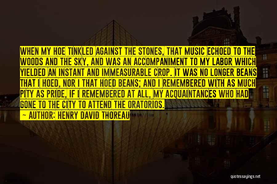 Henry David Thoreau Quotes: When My Hoe Tinkled Against The Stones, That Music Echoed To The Woods And The Sky, And Was An Accompaniment