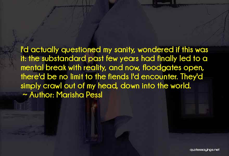 Marisha Pessl Quotes: I'd Actually Questioned My Sanity, Wondered If This Was It: The Substandard Past Few Years Had Finally Led To A