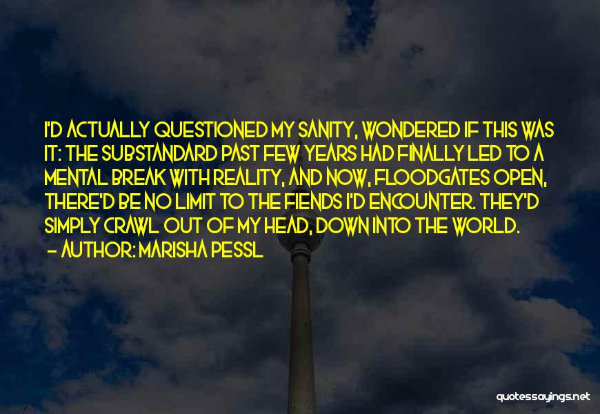 Marisha Pessl Quotes: I'd Actually Questioned My Sanity, Wondered If This Was It: The Substandard Past Few Years Had Finally Led To A