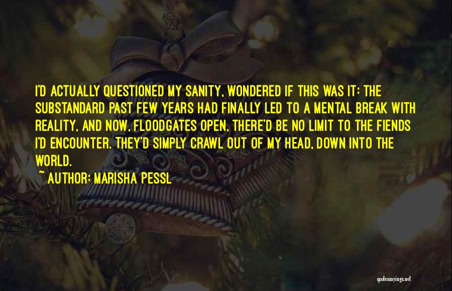 Marisha Pessl Quotes: I'd Actually Questioned My Sanity, Wondered If This Was It: The Substandard Past Few Years Had Finally Led To A