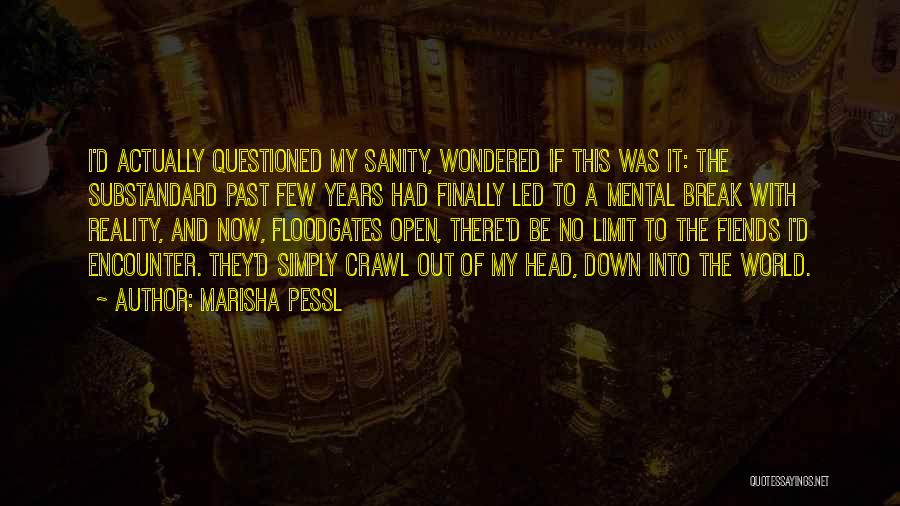 Marisha Pessl Quotes: I'd Actually Questioned My Sanity, Wondered If This Was It: The Substandard Past Few Years Had Finally Led To A