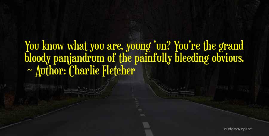 Charlie Fletcher Quotes: You Know What You Are, Young 'un? You're The Grand Bloody Panjandrum Of The Painfully Bleeding Obvious.