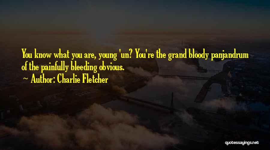 Charlie Fletcher Quotes: You Know What You Are, Young 'un? You're The Grand Bloody Panjandrum Of The Painfully Bleeding Obvious.