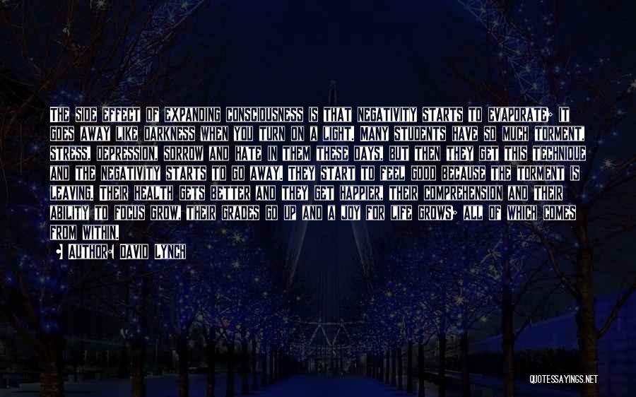 David Lynch Quotes: The Side Effect Of Expanding Consciousness Is That Negativity Starts To Evaporate; It Goes Away Like Darkness When You Turn