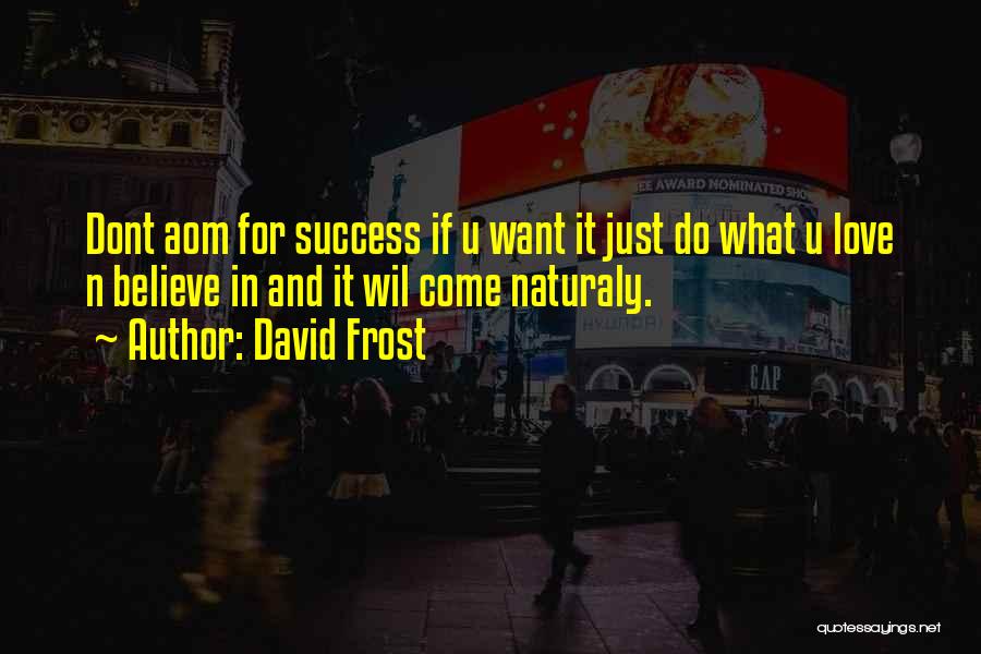 David Frost Quotes: Dont Aom For Success If U Want It Just Do What U Love N Believe In And It Wil Come