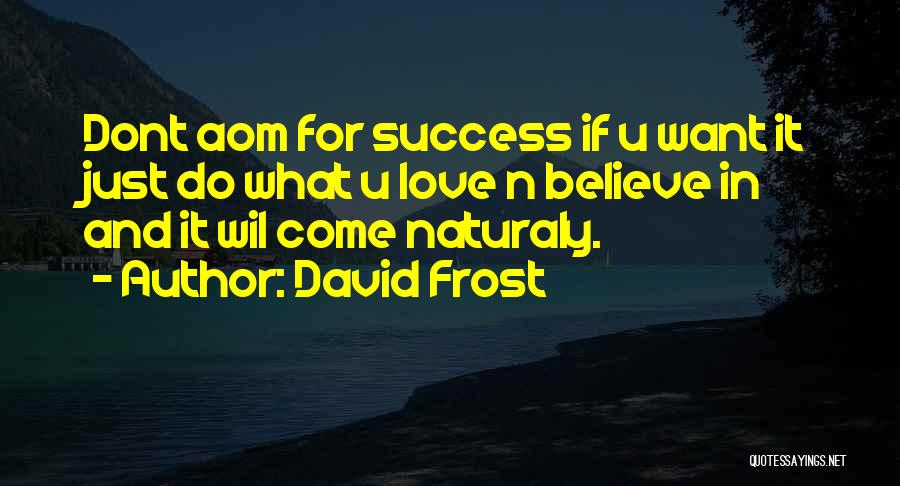 David Frost Quotes: Dont Aom For Success If U Want It Just Do What U Love N Believe In And It Wil Come