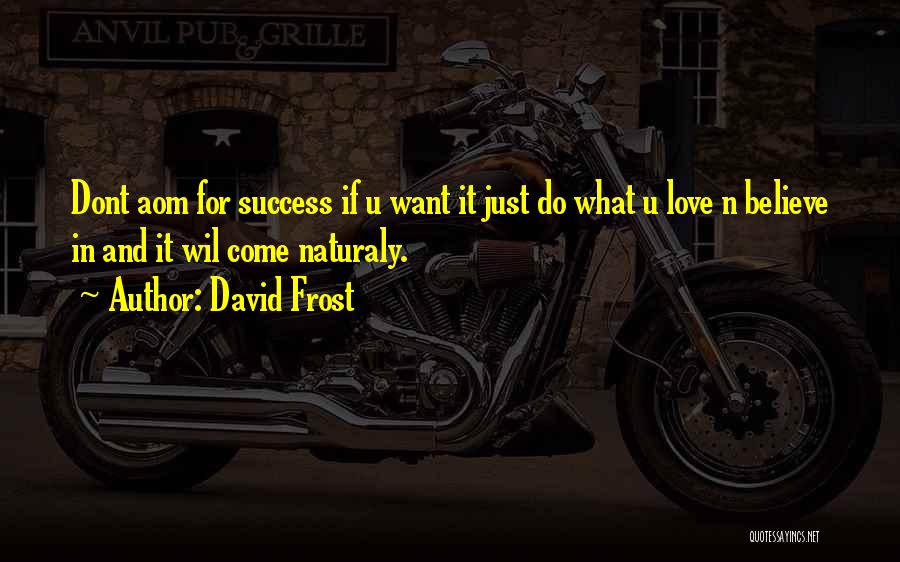 David Frost Quotes: Dont Aom For Success If U Want It Just Do What U Love N Believe In And It Wil Come