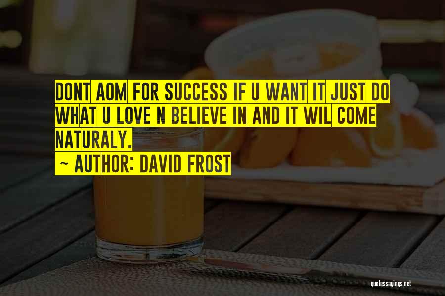 David Frost Quotes: Dont Aom For Success If U Want It Just Do What U Love N Believe In And It Wil Come