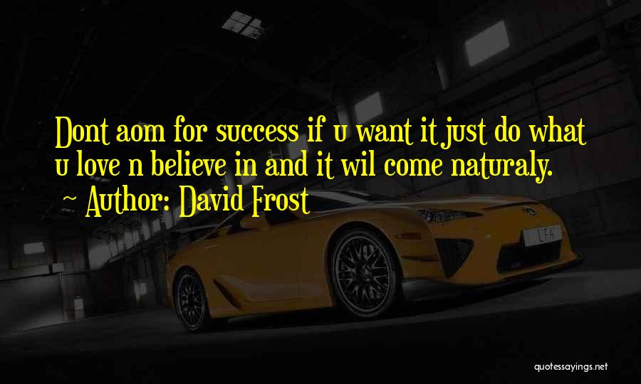 David Frost Quotes: Dont Aom For Success If U Want It Just Do What U Love N Believe In And It Wil Come