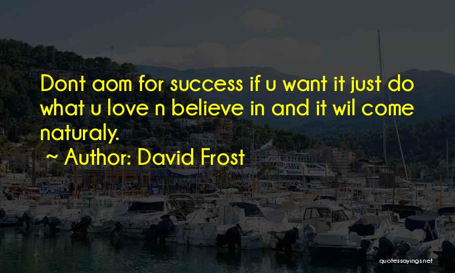 David Frost Quotes: Dont Aom For Success If U Want It Just Do What U Love N Believe In And It Wil Come