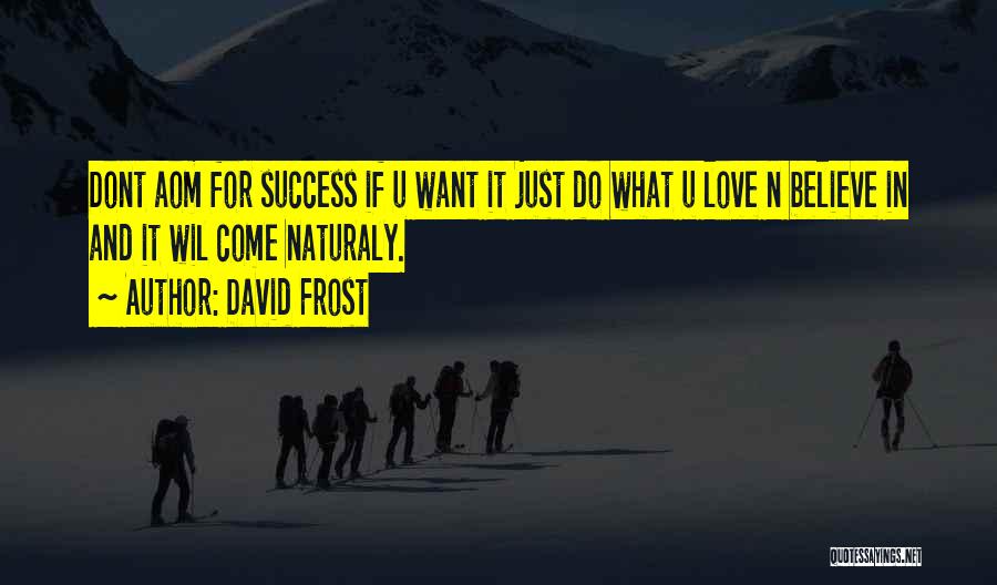 David Frost Quotes: Dont Aom For Success If U Want It Just Do What U Love N Believe In And It Wil Come