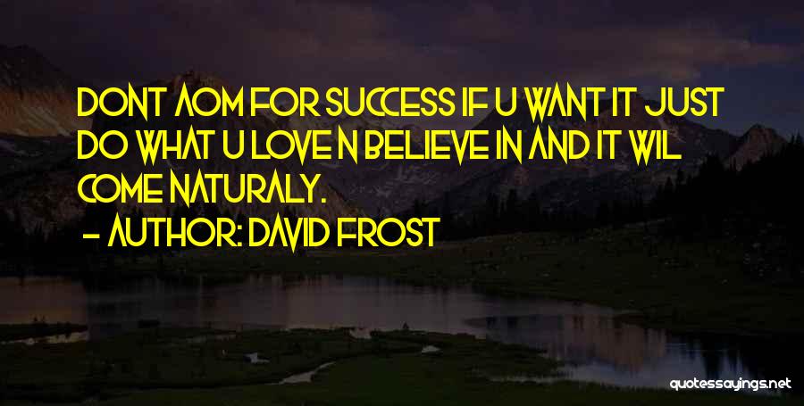 David Frost Quotes: Dont Aom For Success If U Want It Just Do What U Love N Believe In And It Wil Come