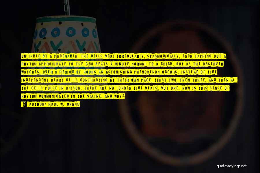 Paul W. Brand Quotes: Unlinked By A Pacemaker, The Cells Beat Irregularly, Spasmodically, Each Tapping Out A Rhythm Approximate To The 350 Beats A