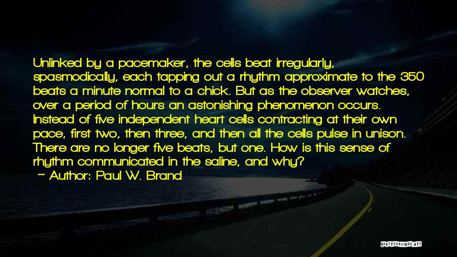 Paul W. Brand Quotes: Unlinked By A Pacemaker, The Cells Beat Irregularly, Spasmodically, Each Tapping Out A Rhythm Approximate To The 350 Beats A