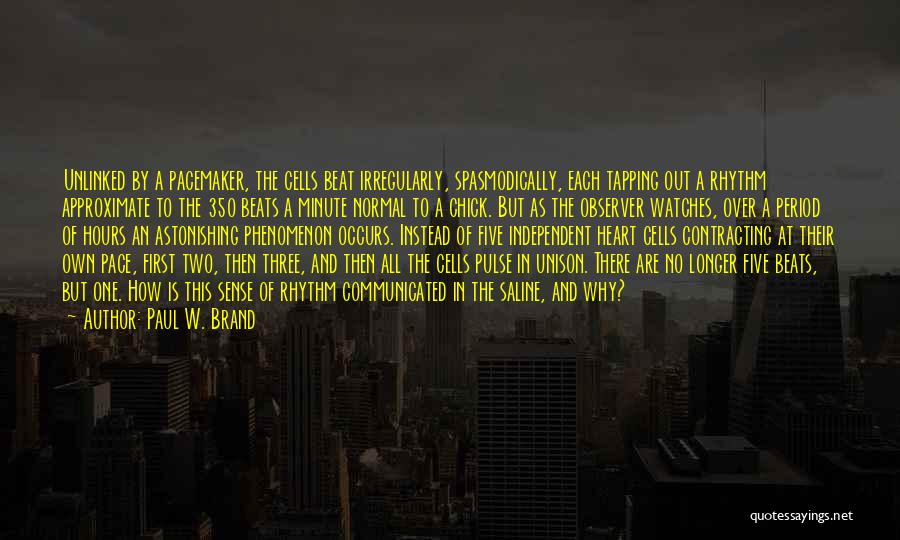 Paul W. Brand Quotes: Unlinked By A Pacemaker, The Cells Beat Irregularly, Spasmodically, Each Tapping Out A Rhythm Approximate To The 350 Beats A