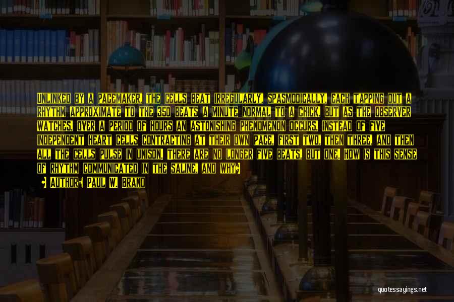 Paul W. Brand Quotes: Unlinked By A Pacemaker, The Cells Beat Irregularly, Spasmodically, Each Tapping Out A Rhythm Approximate To The 350 Beats A