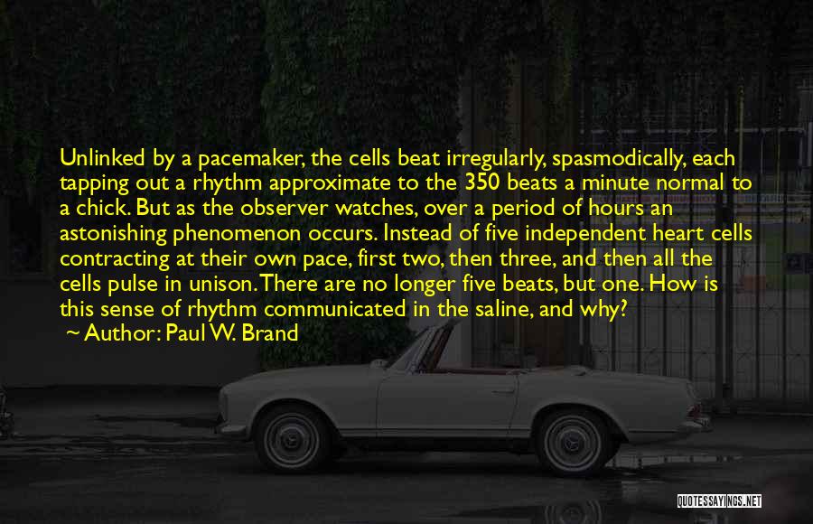 Paul W. Brand Quotes: Unlinked By A Pacemaker, The Cells Beat Irregularly, Spasmodically, Each Tapping Out A Rhythm Approximate To The 350 Beats A