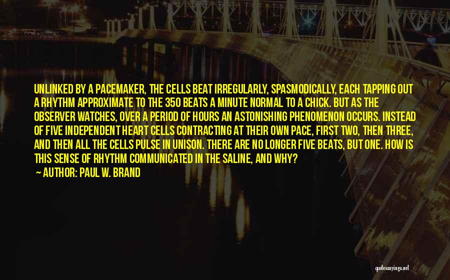 Paul W. Brand Quotes: Unlinked By A Pacemaker, The Cells Beat Irregularly, Spasmodically, Each Tapping Out A Rhythm Approximate To The 350 Beats A