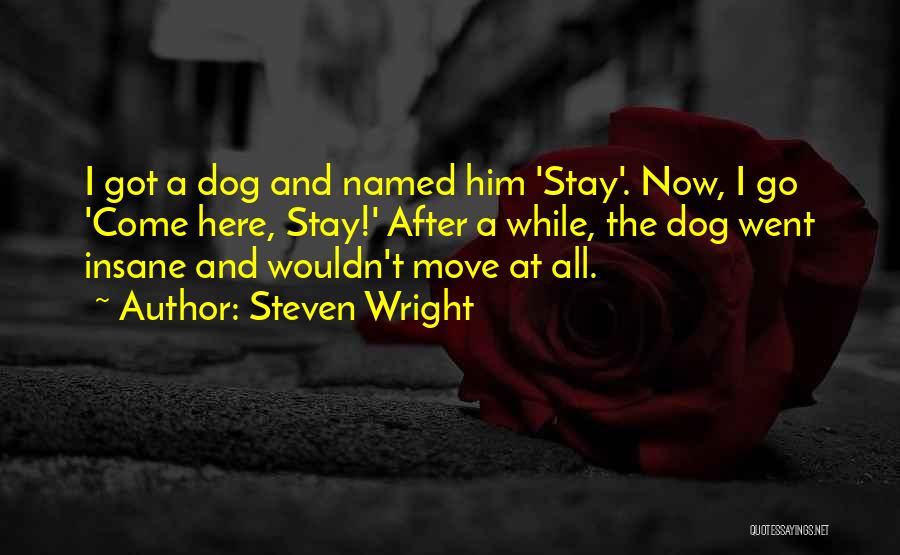 Steven Wright Quotes: I Got A Dog And Named Him 'stay'. Now, I Go 'come Here, Stay!' After A While, The Dog Went