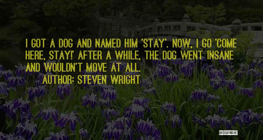 Steven Wright Quotes: I Got A Dog And Named Him 'stay'. Now, I Go 'come Here, Stay!' After A While, The Dog Went