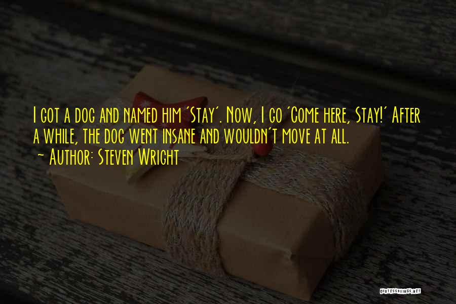 Steven Wright Quotes: I Got A Dog And Named Him 'stay'. Now, I Go 'come Here, Stay!' After A While, The Dog Went