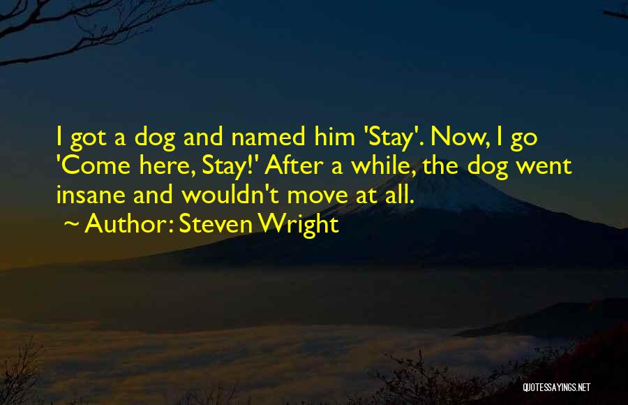 Steven Wright Quotes: I Got A Dog And Named Him 'stay'. Now, I Go 'come Here, Stay!' After A While, The Dog Went