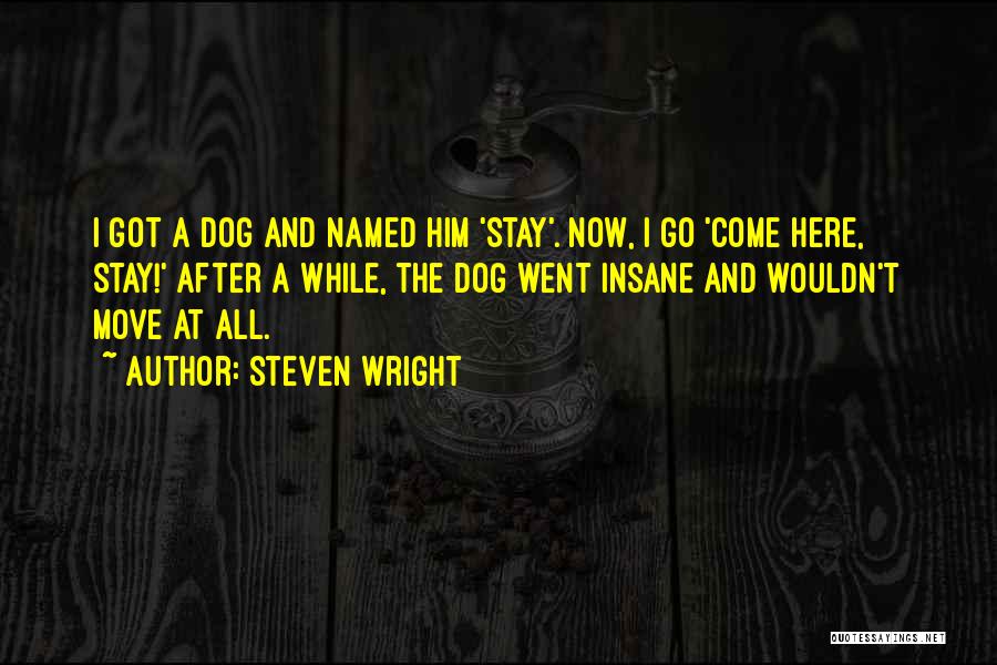 Steven Wright Quotes: I Got A Dog And Named Him 'stay'. Now, I Go 'come Here, Stay!' After A While, The Dog Went