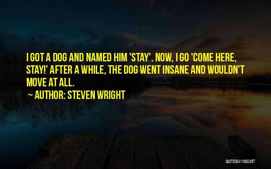 Steven Wright Quotes: I Got A Dog And Named Him 'stay'. Now, I Go 'come Here, Stay!' After A While, The Dog Went