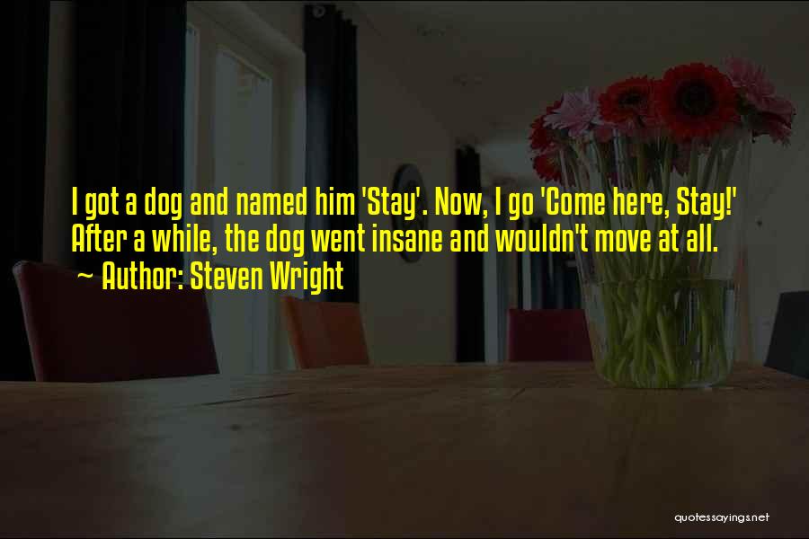 Steven Wright Quotes: I Got A Dog And Named Him 'stay'. Now, I Go 'come Here, Stay!' After A While, The Dog Went