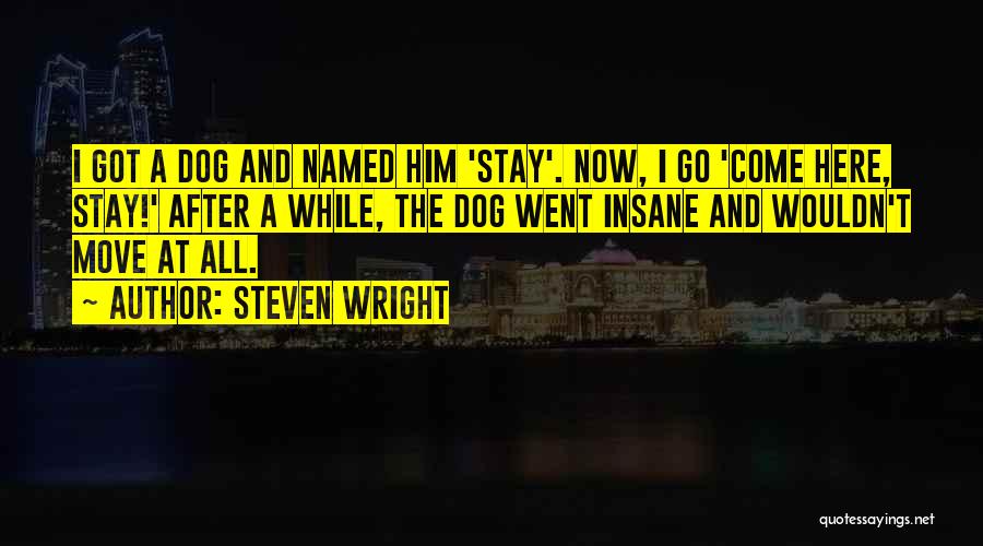 Steven Wright Quotes: I Got A Dog And Named Him 'stay'. Now, I Go 'come Here, Stay!' After A While, The Dog Went