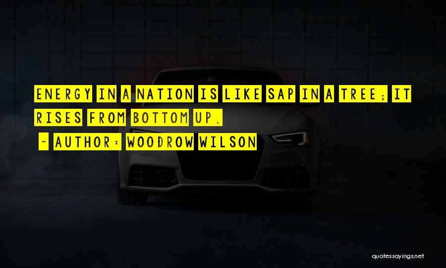 Woodrow Wilson Quotes: Energy In A Nation Is Like Sap In A Tree; It Rises From Bottom Up.