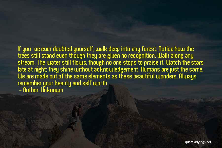 Unknown Quotes: If You've Ever Doubted Yourself, Walk Deep Into Any Forest. Notice How The Trees Still Stand Even Though They Are