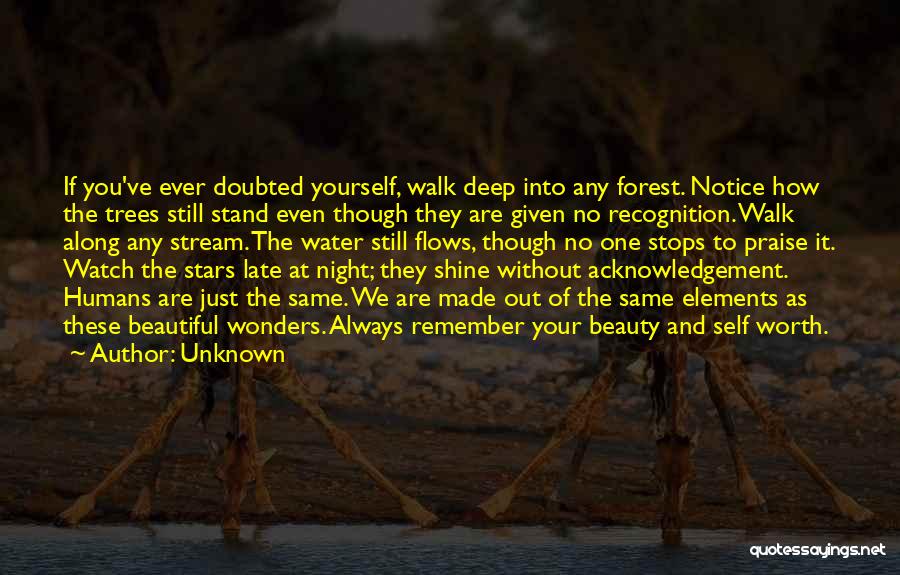 Unknown Quotes: If You've Ever Doubted Yourself, Walk Deep Into Any Forest. Notice How The Trees Still Stand Even Though They Are