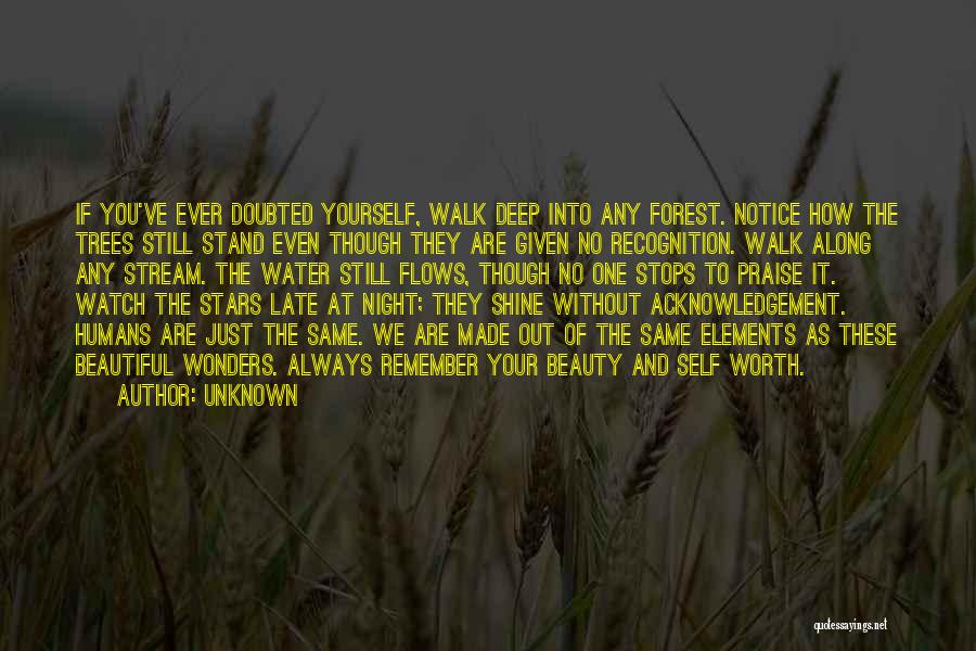 Unknown Quotes: If You've Ever Doubted Yourself, Walk Deep Into Any Forest. Notice How The Trees Still Stand Even Though They Are