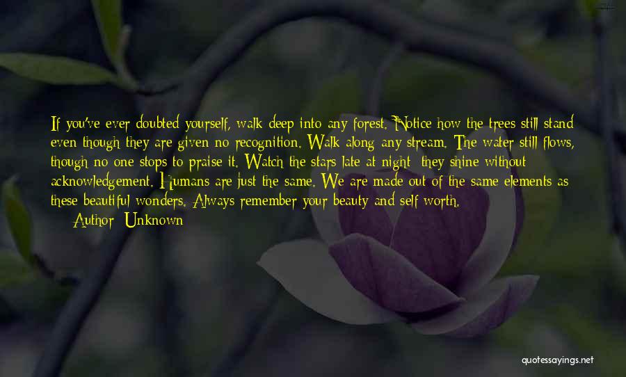 Unknown Quotes: If You've Ever Doubted Yourself, Walk Deep Into Any Forest. Notice How The Trees Still Stand Even Though They Are