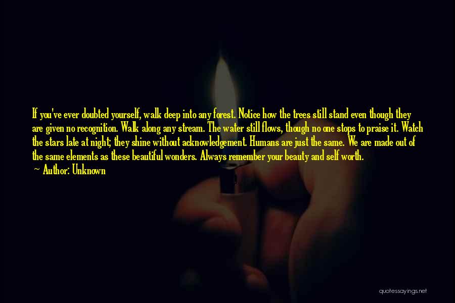 Unknown Quotes: If You've Ever Doubted Yourself, Walk Deep Into Any Forest. Notice How The Trees Still Stand Even Though They Are