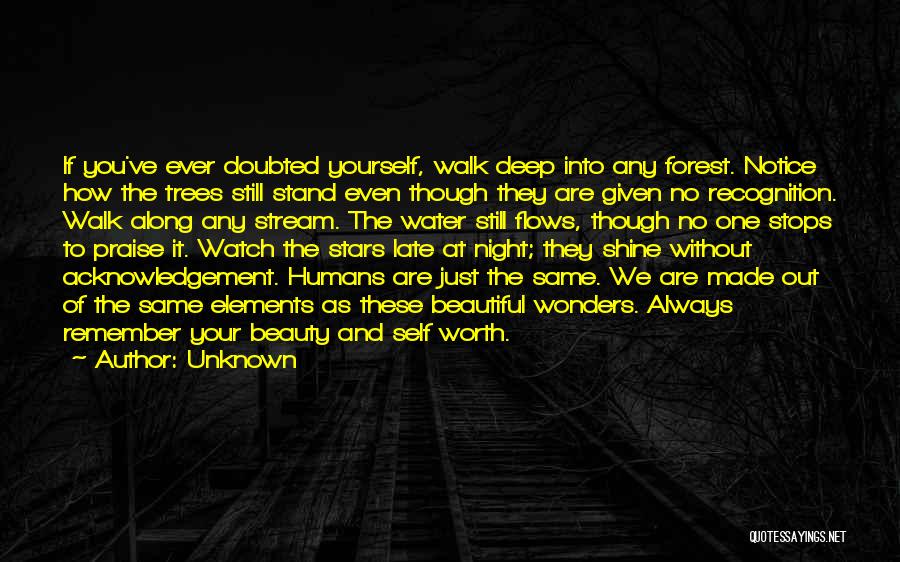 Unknown Quotes: If You've Ever Doubted Yourself, Walk Deep Into Any Forest. Notice How The Trees Still Stand Even Though They Are