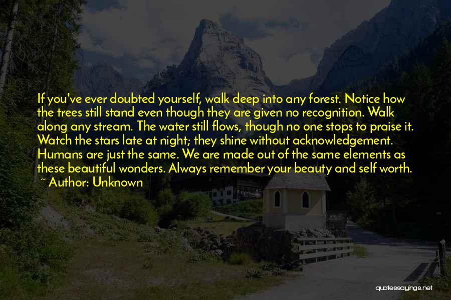 Unknown Quotes: If You've Ever Doubted Yourself, Walk Deep Into Any Forest. Notice How The Trees Still Stand Even Though They Are