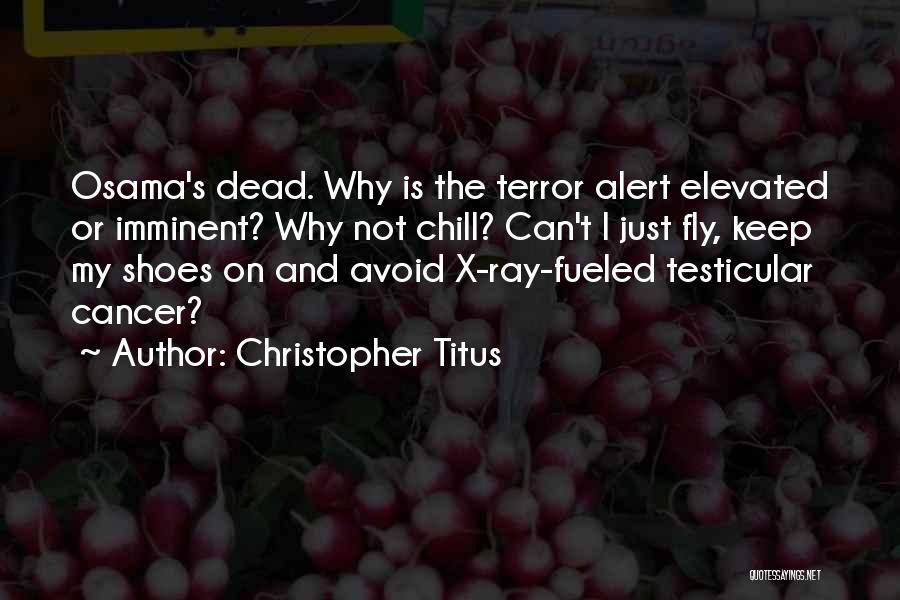 Christopher Titus Quotes: Osama's Dead. Why Is The Terror Alert Elevated Or Imminent? Why Not Chill? Can't I Just Fly, Keep My Shoes