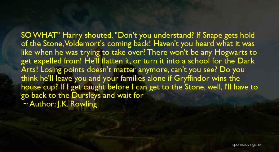J.K. Rowling Quotes: So What Harry Shouted. Don't You Understand? If Snape Gets Hold Of The Stone, Voldemort's Coming Back! Haven't You Heard