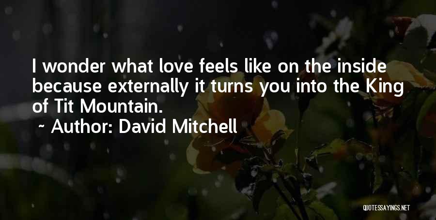 David Mitchell Quotes: I Wonder What Love Feels Like On The Inside Because Externally It Turns You Into The King Of Tit Mountain.